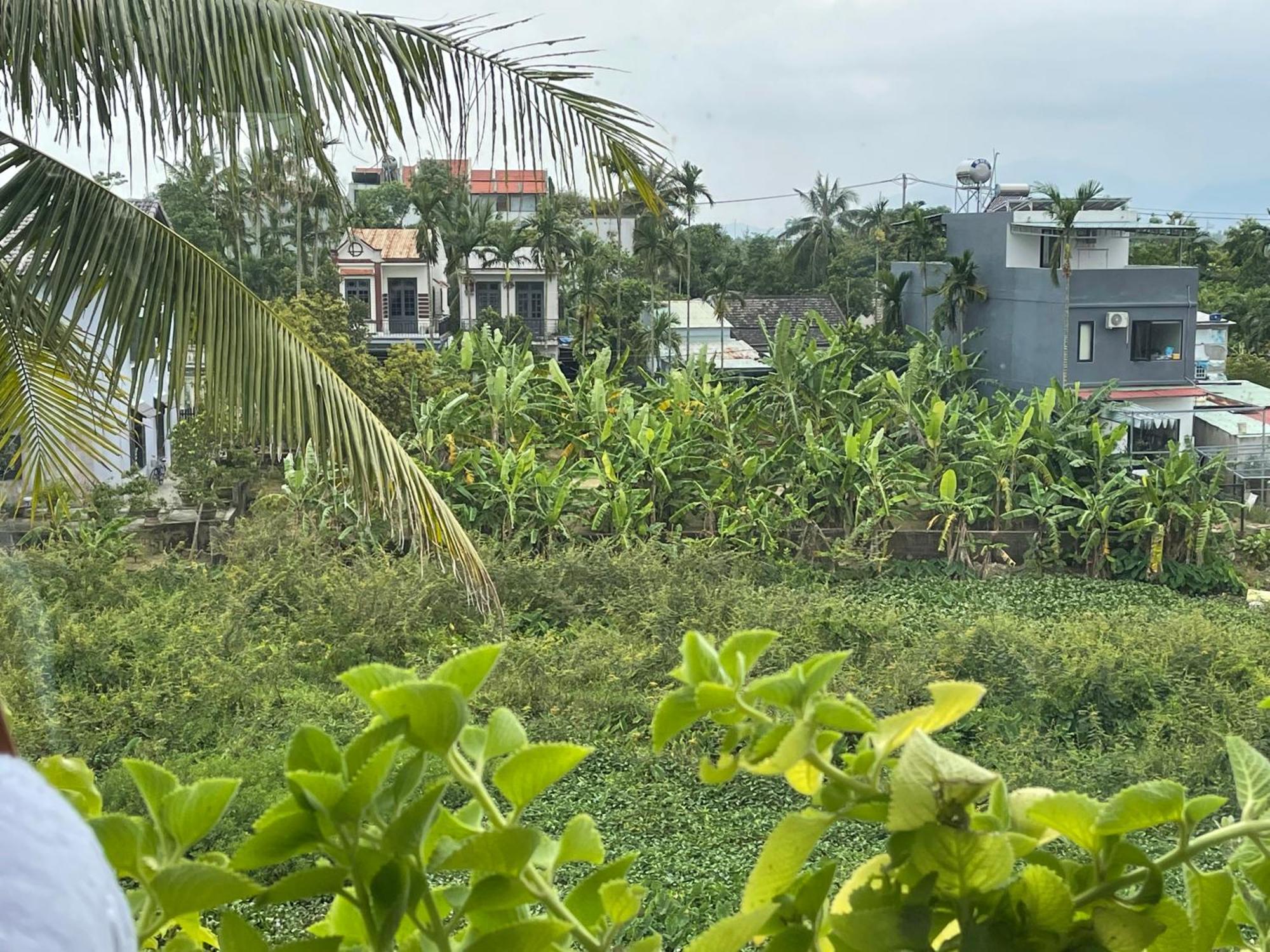 Вилла Hoi An Ti Hon House Экстерьер фото